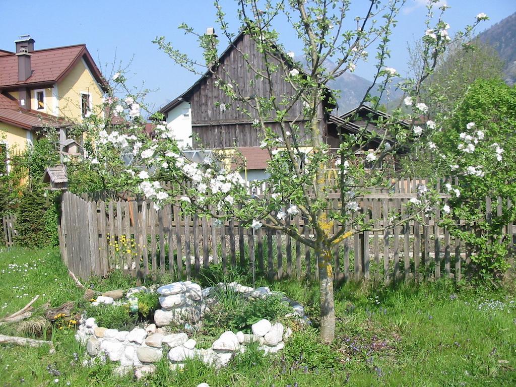 Ferienwohnung Am Pflanzgarten Ebensee Luaran gambar